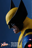 (RE ORDER) HONO STUDIO - X-MEN WOLVERINE 1/6TH SCALE ACTION FIGURE