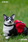 JXK 1/6 Welsh Corgi Pembroke JXK093ABC