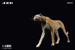 (WAITLIST) JXK 1/6 Acinonyx Jubatus JXK115 / JXK116
