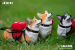 JXK 1/6 Welsh Corgi Pembroke JXK093ABC