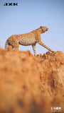 (WAITLIST) JXK 1/6 Acinonyx Jubatus JXK115 / JXK116