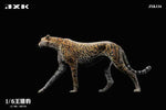 (WAITLIST) JXK 1/6 Acinonyx Jubatus JXK115 / JXK116