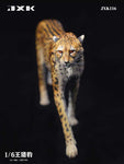 (WAITLIST) JXK 1/6 Acinonyx Jubatus JXK115 / JXK116