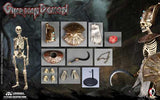 COOMODEL NO.NS006 1/6 DIE-CAST ALLOY - NIGHTMARE SEIRES - EGYPT - GUARDIAN DEMON