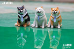 JXK 1/6 Shiba Inu JXK102ABC