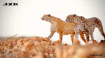 (WAITLIST) JXK 1/6 Acinonyx Jubatus JXK115 / JXK116