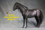 Mr.Z MRZ056 1/6 Animal Model No. 56 Thoroughbreds (BLACK MRZ56-5)