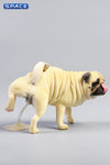JXK JXK069C 1/6 Leg Lift Pug