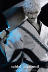 Gametoys GT004 1/6 Ichigo Grey ver. figure