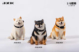 JXK 1/6 Shiba Inu JXK102ABC