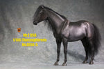 Mr.Z MRZ056 1/6 Animal Model No. 56 Thoroughbreds (BLACK MRZ56-5)