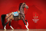 (RE ORDER) MR.Z 1/6 animal model MR.Z059-567
