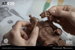 Worldbox 1/6 durable body “AT030”