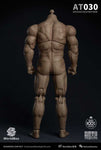 Worldbox 1/6 durable body “AT030”