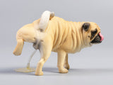 JXK JXK069C 1/6 Leg Lift Pug