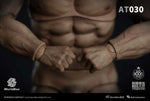 Worldbox 1/6 durable body “AT030”