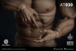 Worldbox 1/6 durable body “AT030”
