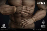 Worldbox 1/6 durable body “AT030”