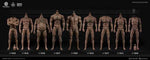Worldbox 1/6 durable body “AT030”
