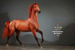 (RE ORDER) MR.Z 1/6 animal model MR.Z059-567
