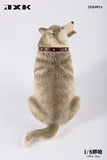 JXK 1/6 Fat Husky JXK092ABC