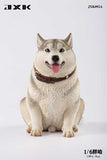 JXK 1/6 Fat Husky JXK092ABC