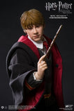 Star Ace Harry Potter Ron Weasley Teenage Normal Version [SA-0057] 1/6]