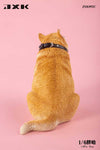 JXK 1/6 Fat Husky JXK092ABC