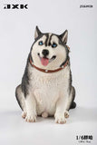JXK 1/6 Fat Husky JXK092ABC