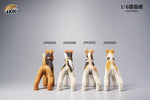 JXK JXK068B 1/6th Foxterriers