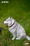 JXK 1/6 Fat Husky JXK092ABC