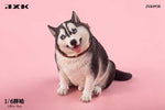 JXK 1/6 Fat Husky JXK092ABC