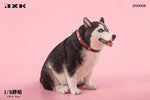 JXK 1/6 Fat Husky JXK092ABC
