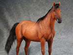 MR.Z MRZ056 1/6 animal model No.56 Thoroughbreds (RED MRZ056-3)