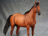 MR.Z MRZ056 1/6 animal model No.56 Thoroughbreds (RED MRZ056-3)
