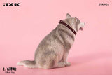 JXK 1/6 Fat Husky JXK092ABC