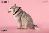 JXK 1/6 Fat Husky JXK092ABC