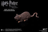 Star Ace Harry Potter Ron Weasley Teenage Normal Version [SA-0057] 1/6]