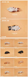JXK small Golden retriever pup JS2208A / Husky pup JS2209AB / Labrador pup JS2210ABCD   
