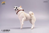 JXK JXK072B  1/6 Football Shiba Inu