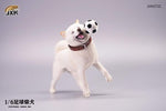 JXK JXK072B  1/6 Football Shiba Inu