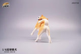 JXK JXK072B  1/6 Football Shiba Inu
