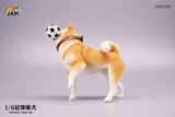 JXK JXK072B  1/6 Football Shiba Inu