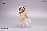 JXK JXK072B  1/6 Football Shiba Inu