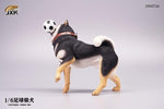 JXK JXK072B  1/6 Football Shiba Inu