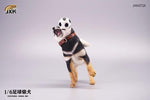 JXK JXK072B  1/6 Football Shiba Inu