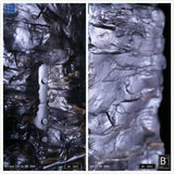 B92 Toys BK-0001 Bad Gnaqua Display case with lighting for 1/6 figures