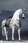 POPTOYS: 1/6TH Saint Knight
