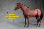 Mr.Z MRZ056 1/6 Animal Model No. 56 Thoroughbreds (BROWN MRZ56-2)