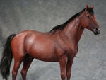 Mr.Z MRZ056 1/6 Animal Model No. 56 Thoroughbreds (BROWN MRZ56-2)